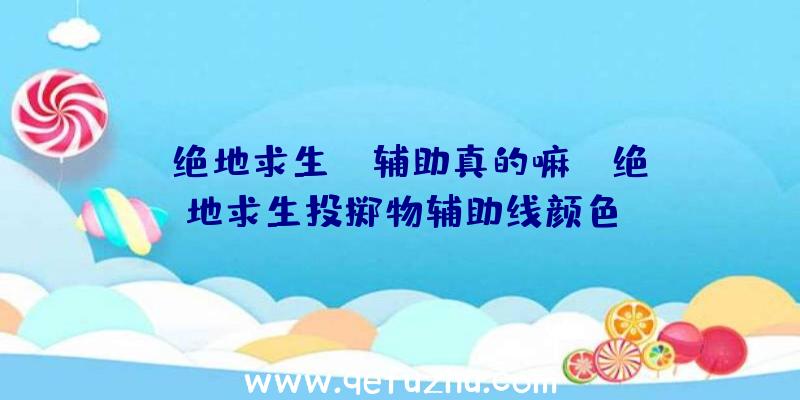 「绝地求生jr辅助真的嘛」|绝地求生投掷物辅助线颜色